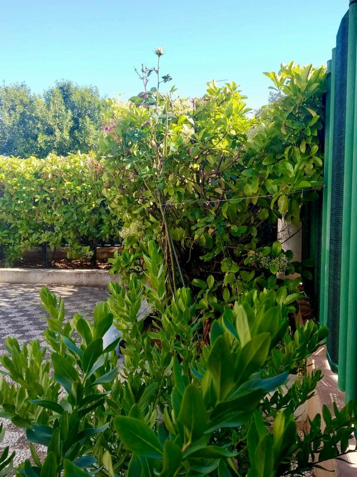 Villa Giovanna San Pietro in Bevagna Buitenkant foto